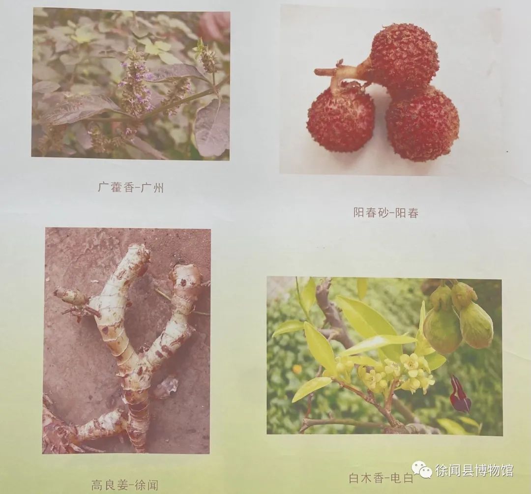 圖片