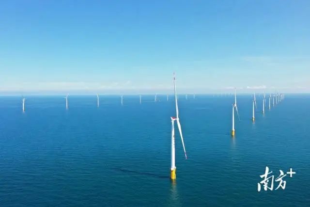 位于徐聞外羅海域的海上風電場。國電投供圖 位于徐聞外羅海域的海上風電場。國電投供圖
