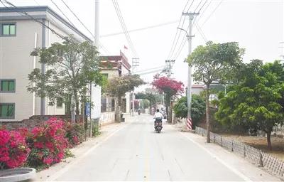 放坡村村道寬闊，整潔平坦.jpg